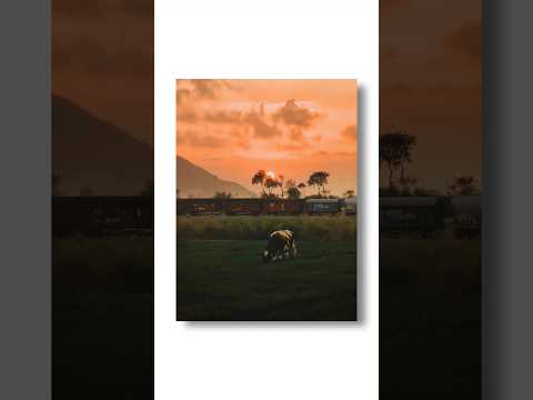 adobe generative ai